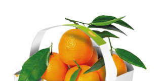 La clementina Emma della piana di Sibari nel suo colorato packaging