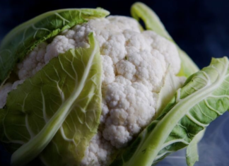 Primo Sole, per gli ortaggi avvio di stagione al rallenty