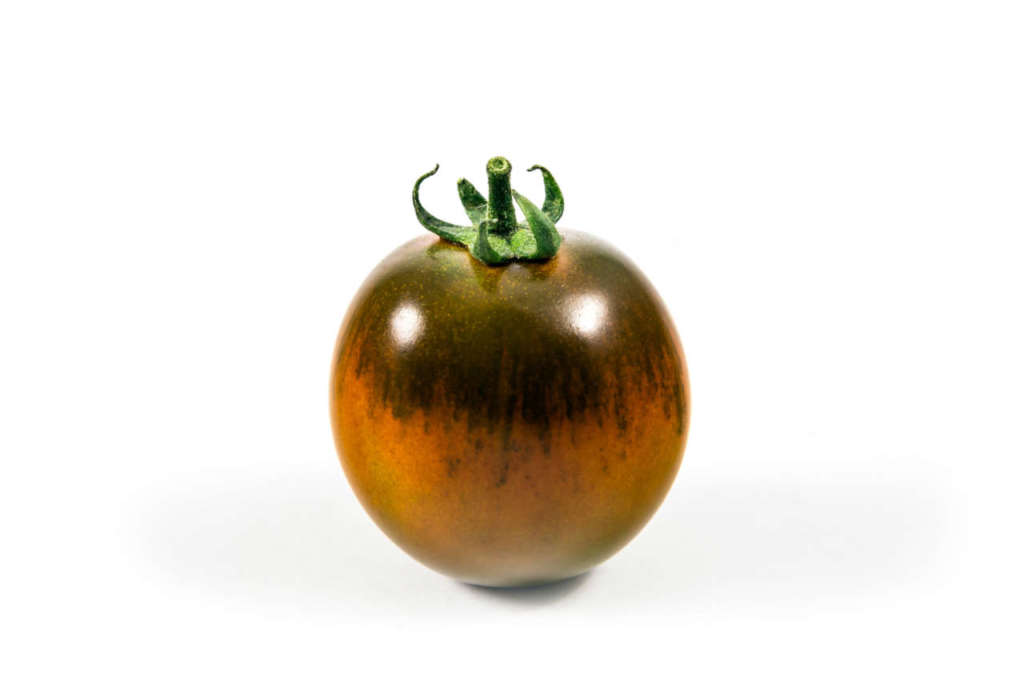 Il pomodoro Camone sviluppato da Syngenta garantisce il consumatore che il prodotto è coltivato esclusivamente da 4 aziende agricole autorizzate e totalmente tracciabile