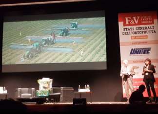 L’Ad Maura Latini interviene sul discusso spot Coop