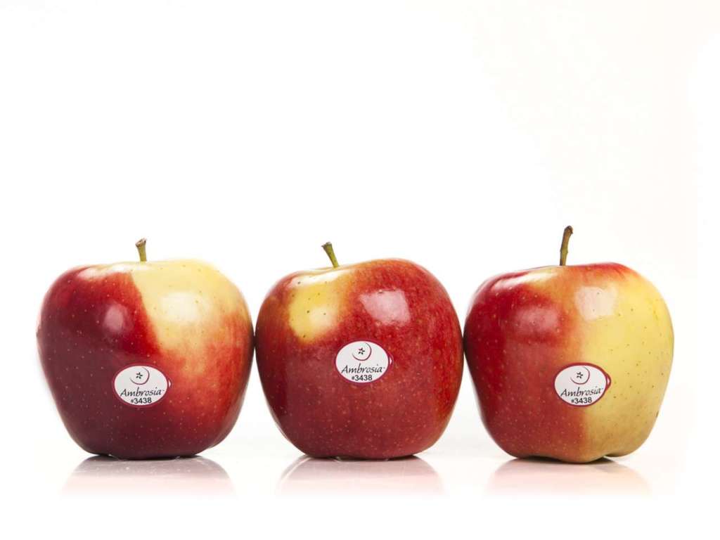 La mela Ambrosia è caratterizzata da un gusto dolcissimo e consistenza croccante. Il claim è 
