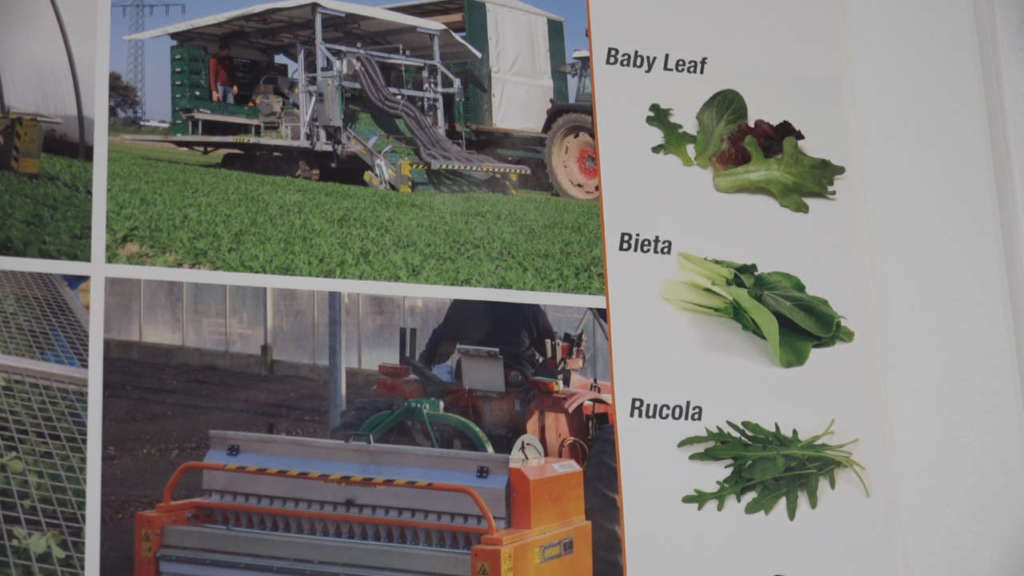 ortomec novità taglio