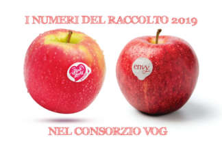 Finita la raccolta per Pink Lady ed Envy, ecco i numeri di Vog
