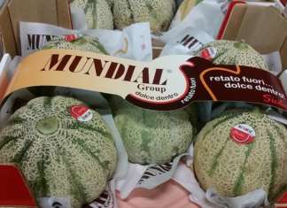 Meloni, tempo di bilanci per il Consorzio Mundial