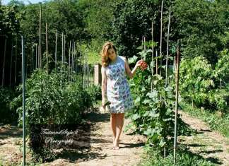 Sipo collabora con la Food & Wine Blogger Lisa Fontana