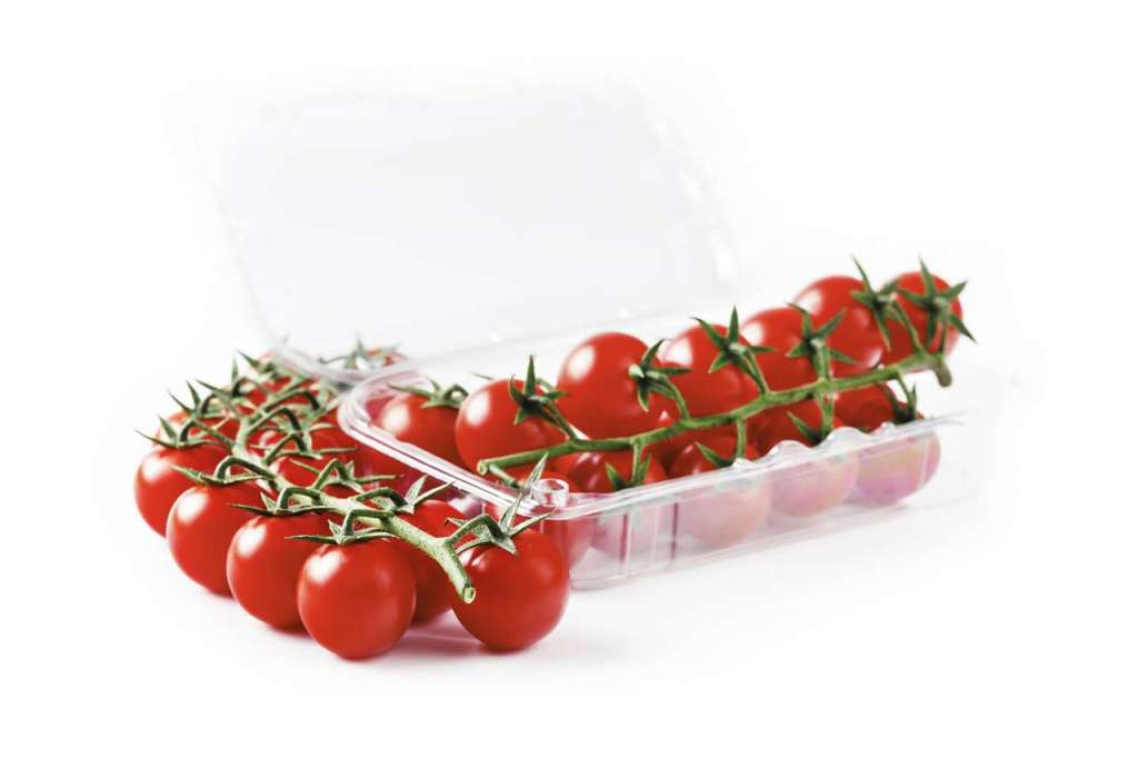 Il pomodoro ciliegino Paskualeto, sviluppato dall'azienda sementiera Syngenta