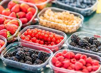 Piccoli frutti in Gdo, l’istantanea del Cso Italy