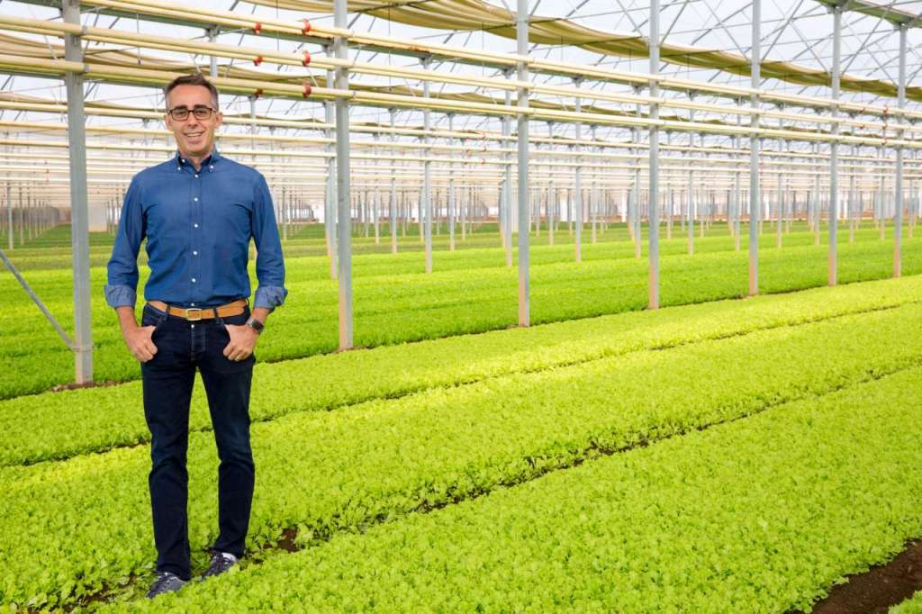 Andrea Montagna, Ad di Bonduelle Italia