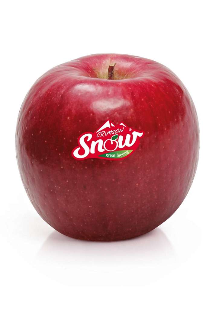 Snow è un marchio registrato a livello mondiale. Diverse aziende italiane hanno investito nel progetto, tra cui Vog