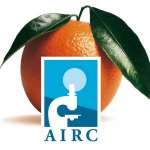 Le arance rosse Airc negli store di 22 insegne distributive