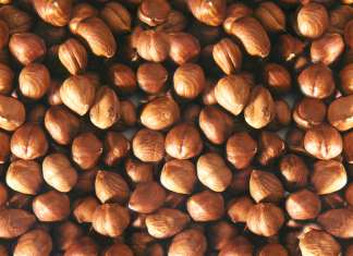 Nocciola italiana, pronti per il gruppo di lavoro Il mercato della nocciola è in forte crescita