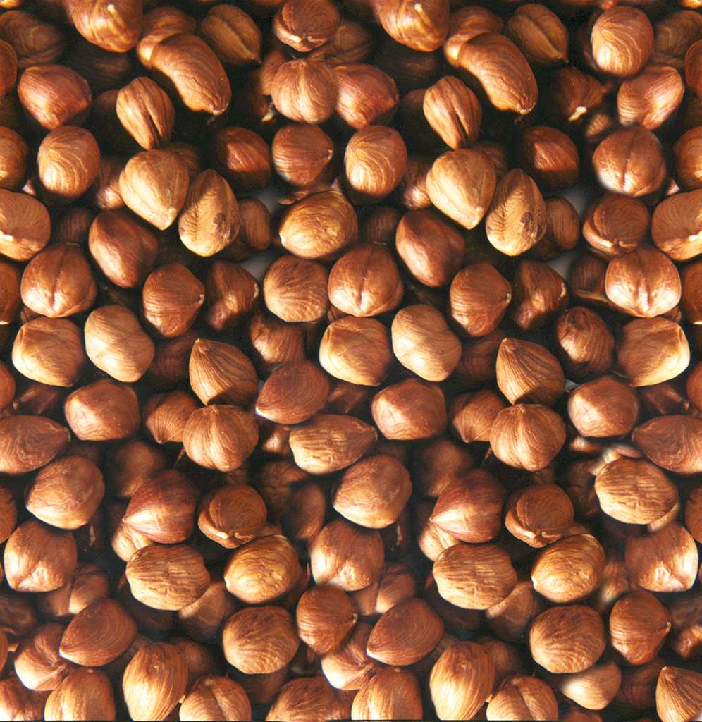 Il mercato della nocciola è in forte crescita