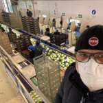 Ciro Paolillo: “Timori per il raccolto dei finocchi d’estate” Ciro Paolillo, sales manager Paolillo