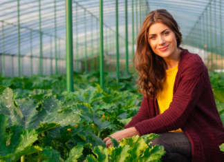 Copa e Cogeca, premi per l’agricoltura al femminile