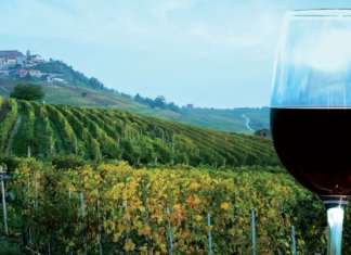 La filiera del vino chiede misure europee e nazionali straordinarie