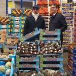 Il Centro Agroalimentare di Torino ha una gamma di circa 260 referenze di prodotti agroalimentari, con volumi pari a circa 500 mila tonnellate l’anno