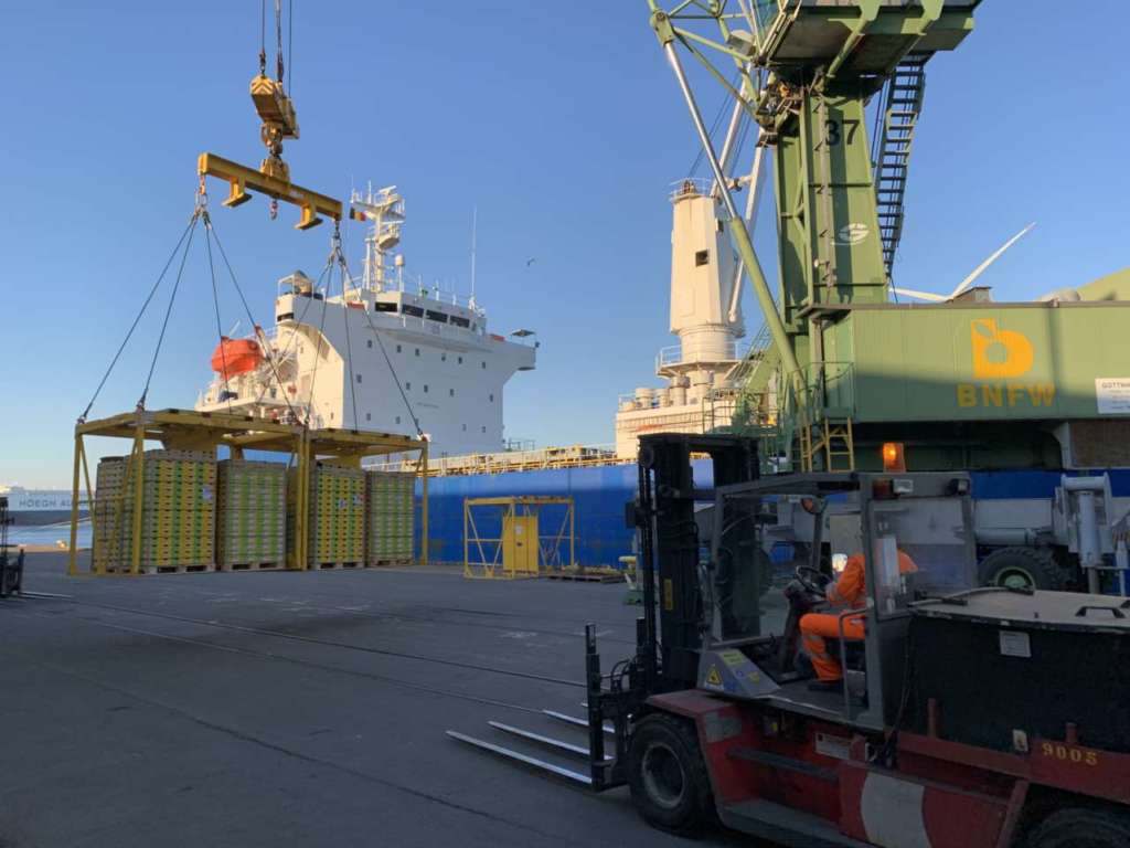 kiwi zespri arrivo porto belga