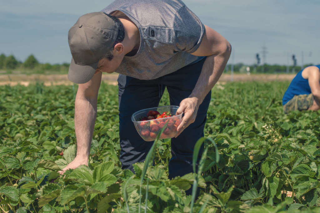 L'intesa sostiene il potere d'acquisto dei dipendenti delle aziende ortofrutticole