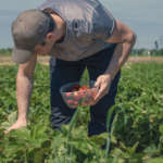 L'intesa sostiene il potere d'acquisto dei dipendenti delle aziende ortofrutticole