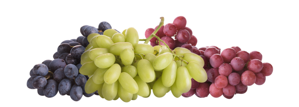 Uva Arra senza semi