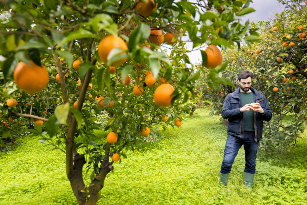 Osvaldo De Falco, amministratore delegato di Biorfarm