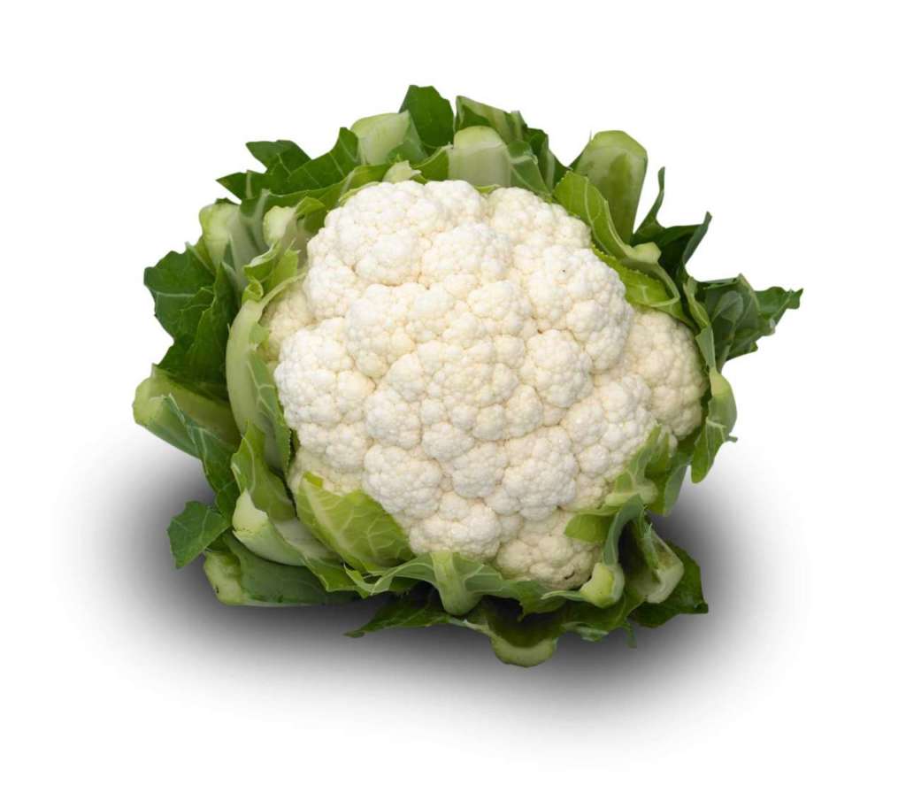 La novità Syngenta SpaceDream. varietà precoce per il cavolfiore bianco