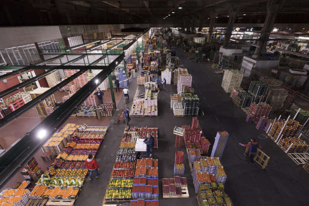 Foody, mercato ortofrutticolo di Milano
