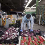 Foody, mercato ortofrutticolo di Milano