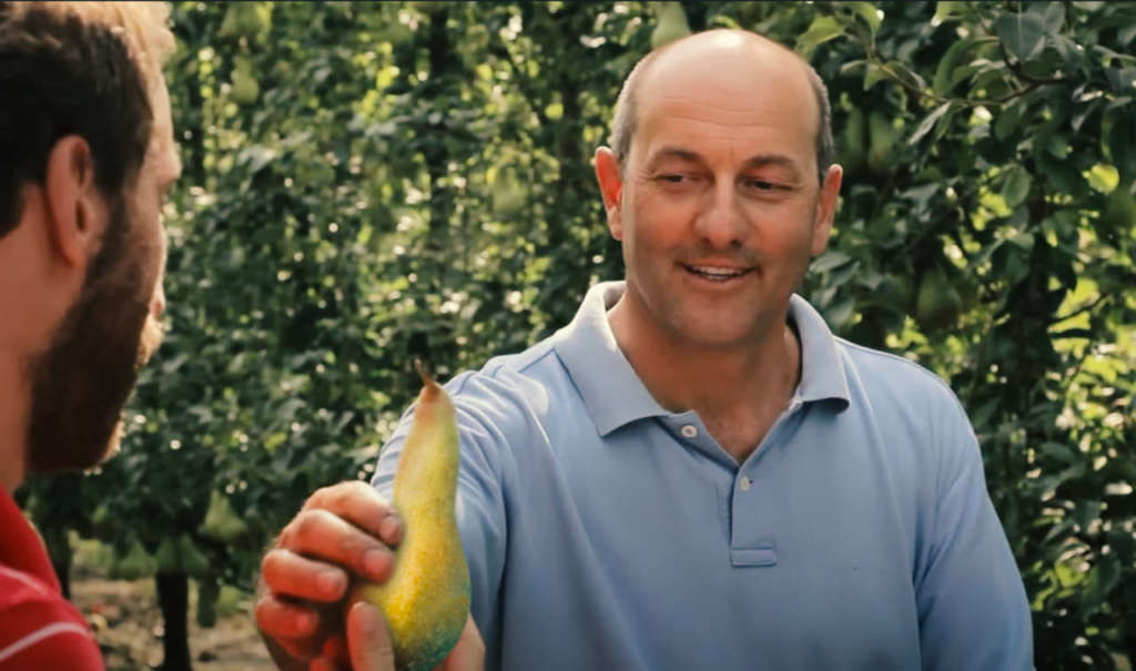 Adriano Aldrovandi è il nuovo presidente del Consorzio per la Tutela e la Valorizzazione della Pera IGP dell’Emilia Romagna. Ricopre anche la carica di presidente di Opera.