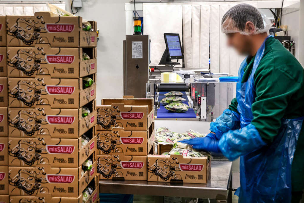 MisSALAD è un brand dedicato alle donne dell'Insalata dell'Orto