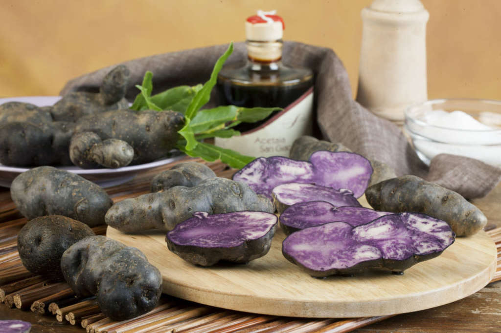 Patate vitelotte a marchio Perle della Tuscia