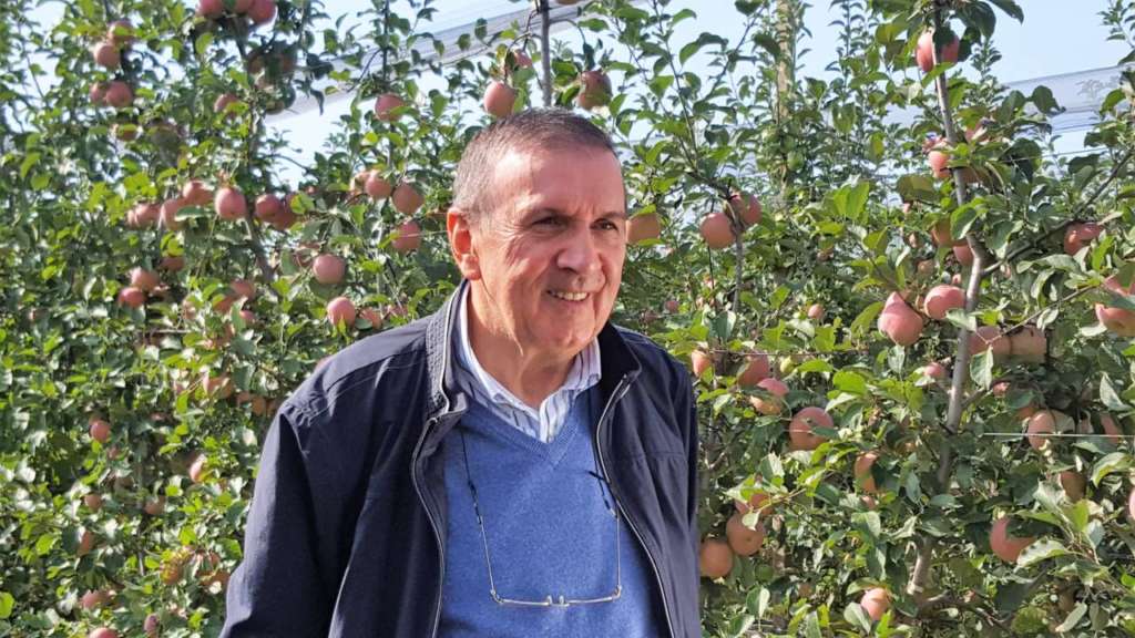 Gianmauro Bergamini, Presidente del Consorzio MelaPiù di Ferrara