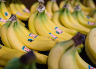 Banane capofila del mondo Fairtrade, con volumi in crescita