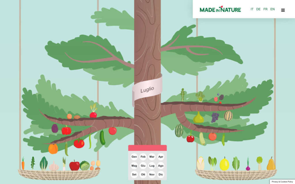 Albero della stagionalità, una novità del sito Made in Nature