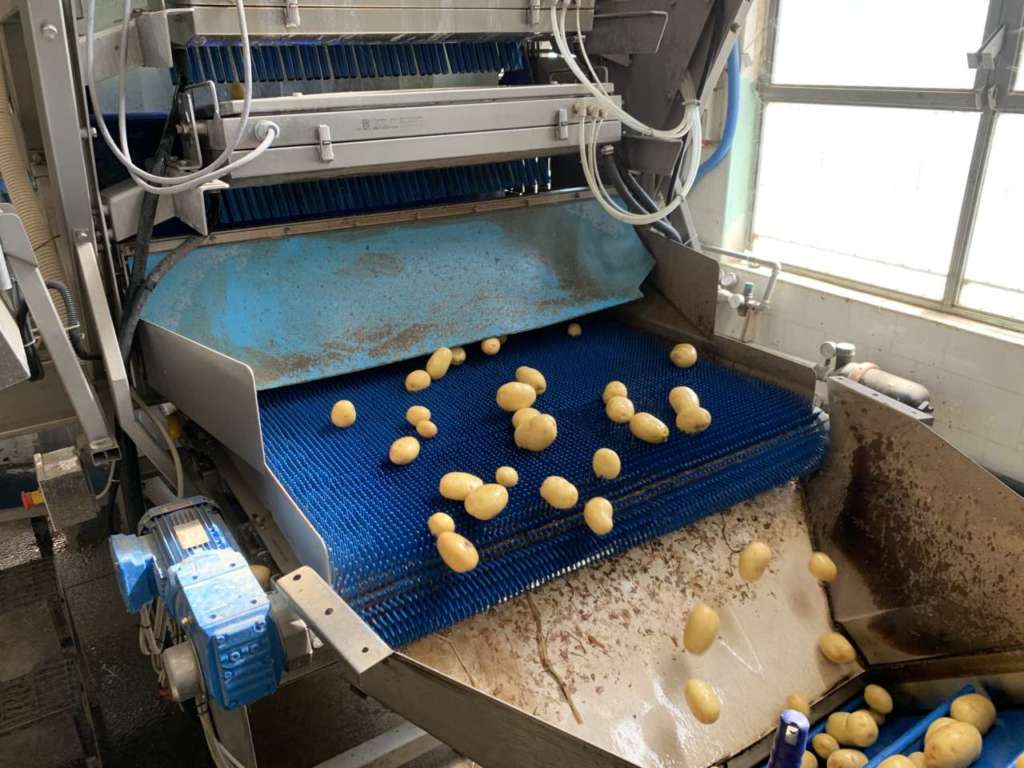 La selezionatrice Sentinel II al lavoro