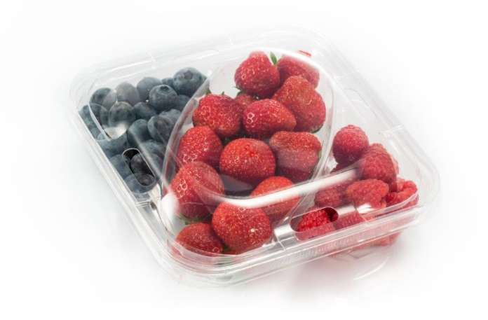 Piccoli frutti prodotti da Sant'Orsola