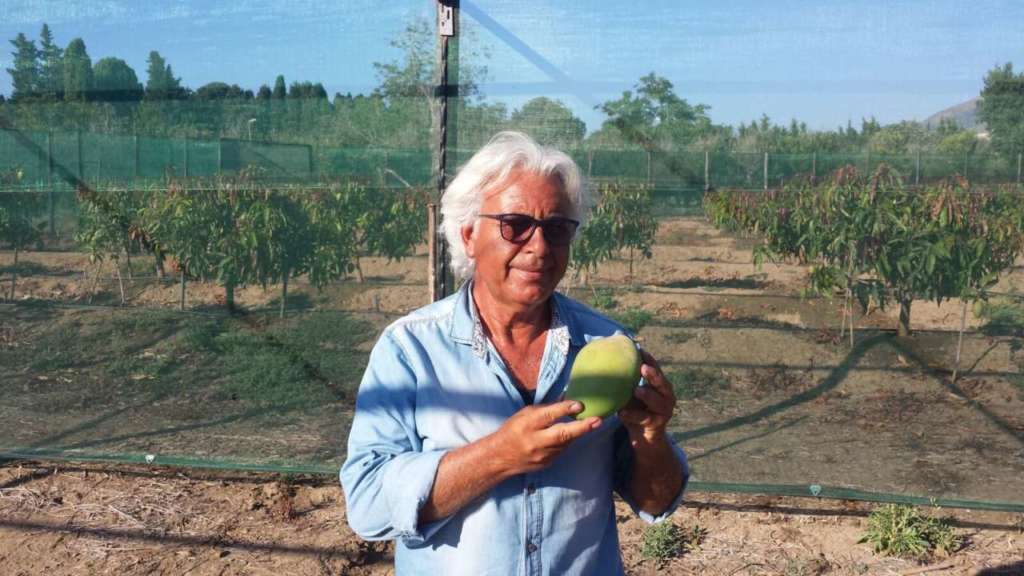 Vincenzo Amata , referente commerciale per il marchio Papamango