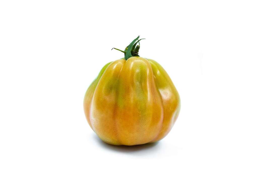 Araldino, pomodoro cuore di bue sviluppato da Rijk Zwaan