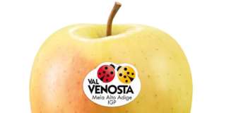La classica Golden Delicious VIP Val Venosta