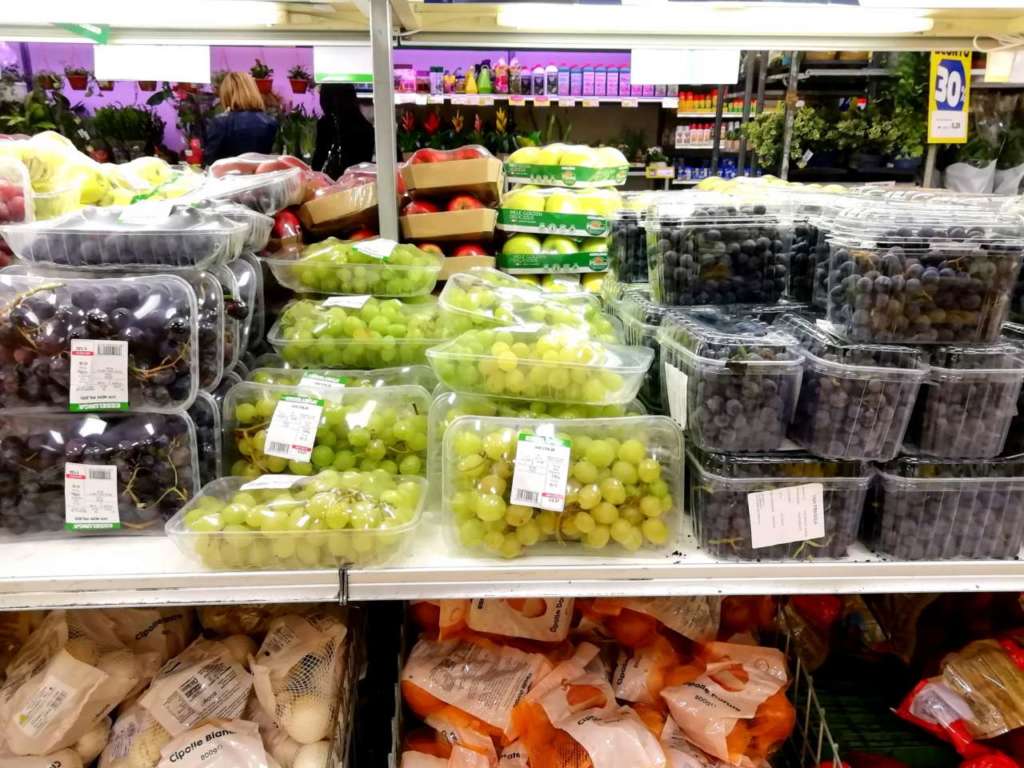 Per le uve è cominciata la produzione delle cultivar della stagione autunnale