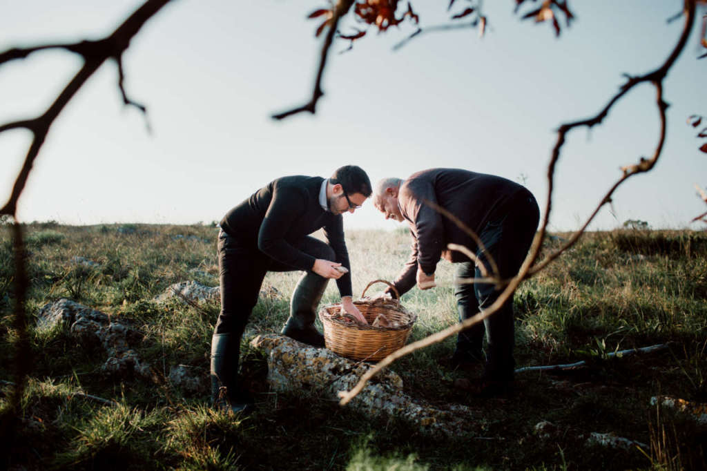 MìPulia ha una tradizione trentennale nella fungicoltura, svolta nella Murgia pugliese