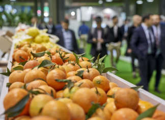 Anche Fruit Attraction 2020 ripiega sulla formula solo digitale