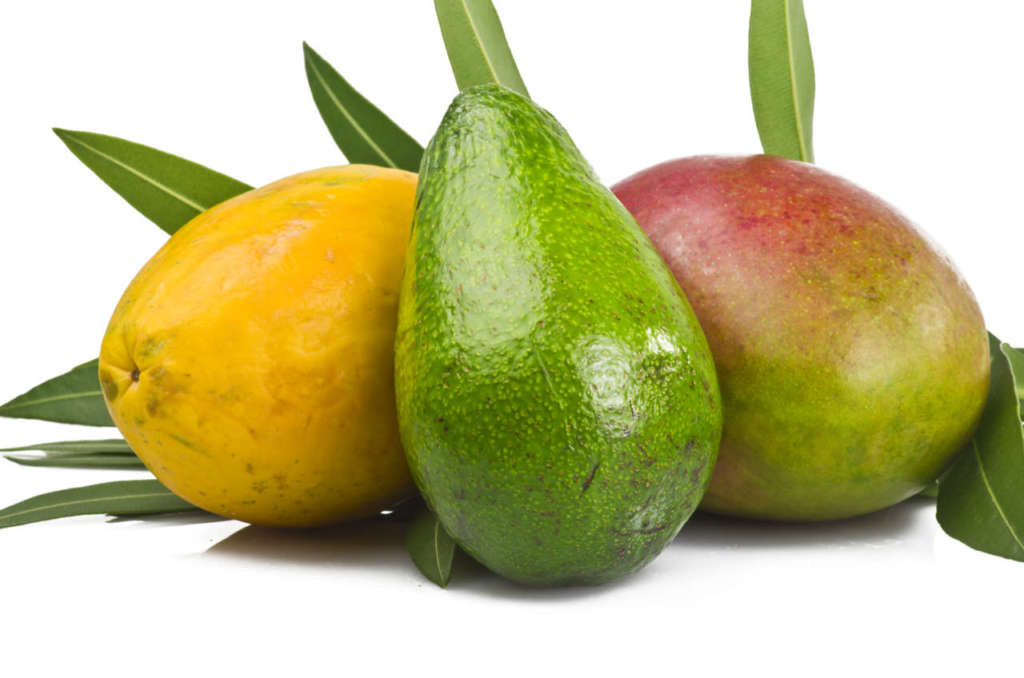 Avocado mango papaia frutta tropicale