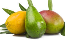 Avocado mango papaia frutta tropicale