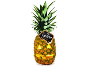 Ananas distribuito da F.lli Orsero