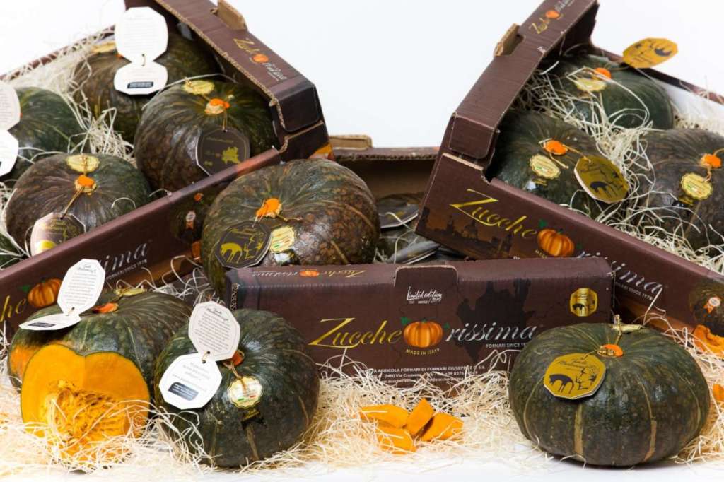 Zucca a marchio Zuccherissima