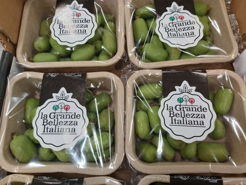 Kiwiberry a marchio La Grande Bellezza Italiana