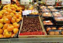 Andamento prezzi ortofrutta in Italia al 28 settembre 2026 Parte la stagione di cachi e castagne