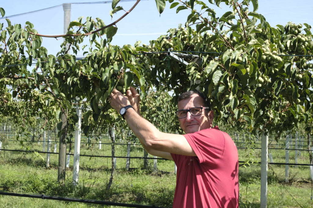 Domenico Paschetta, presidente della Op Ortofruit Italia, con sede a Saluzzo