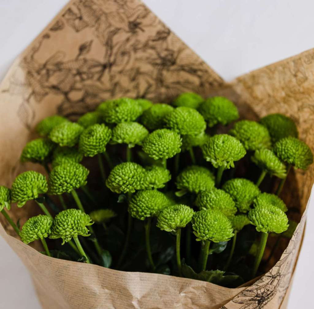 Il settore del florovivaismo italiano interessa 24 mila aziende